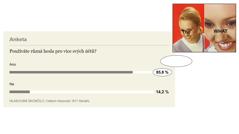 Používáte různá hesla pro více svých účtů? Ano: 85,8 %