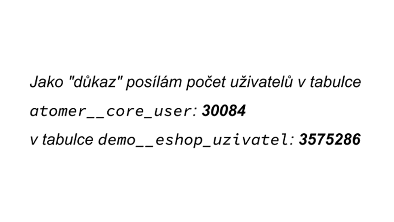 Hledám a nacházím chyby, které by mohly vést k únikům